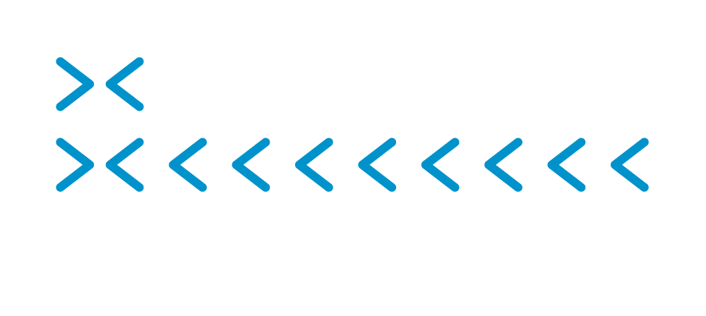 Parseport